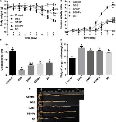 Nanoparticles Isolated From Porcine Bone Soup Ameliorated Dextran Sulfate Sodium-Induced Colitis and Regulated Gut Microbiota in Mice